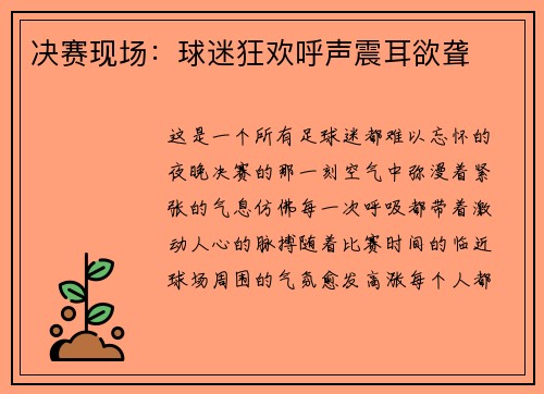 决赛现场：球迷狂欢呼声震耳欲聋