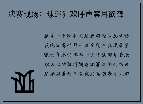 决赛现场：球迷狂欢呼声震耳欲聋